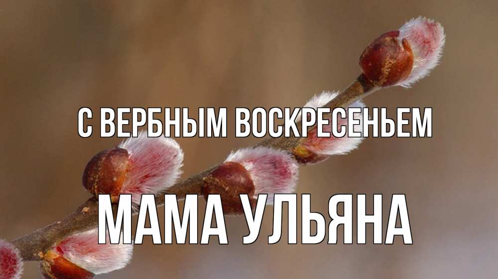 Открытка на каждый день с именем, Мама-Ульяна С вербным воскресеньем верба Прикольная открытка с пожеланием онлайн скачать бесплатно 