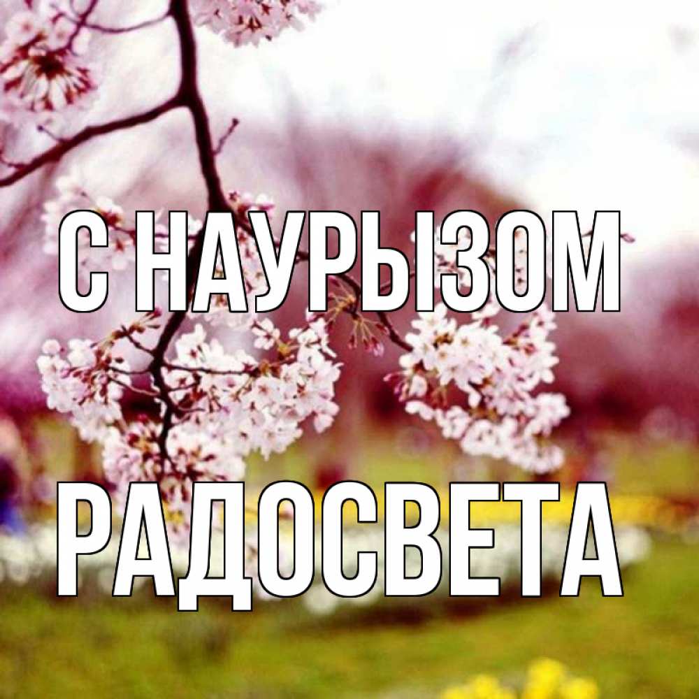 Открытка на каждый день с именем, Радосвета С наурызом яблоня Прикольная открытка с пожеланием онлайн скачать бесплатно 