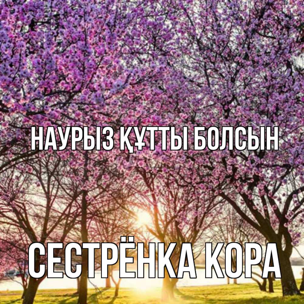 Открытка на каждый день с именем, Сестрёнка-Кора Наурыз құтты болсын наурыз Прикольная открытка с пожеланием онлайн скачать бесплатно 