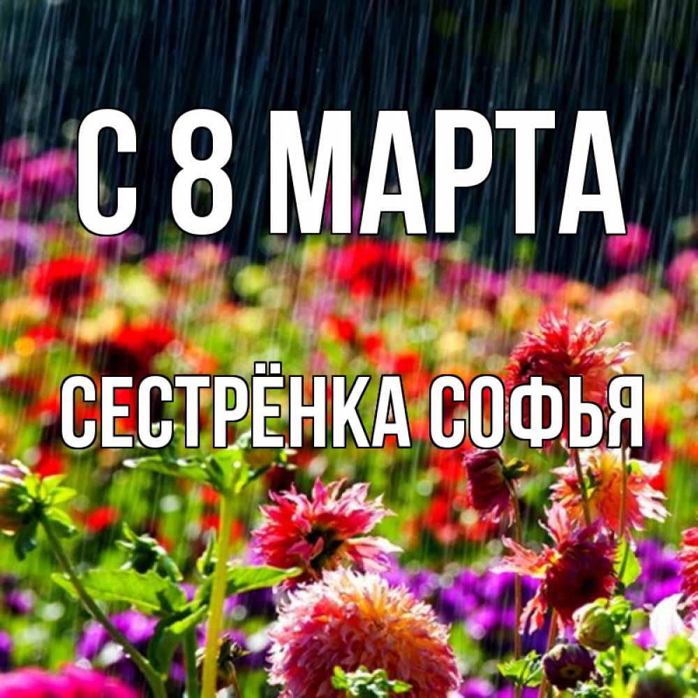 Открытка на каждый день с именем, Сестрёнка-Софья С 8 МАРТА цветы под дождиком к международному женскому дню Прикольная открытка с пожеланием онлайн скачать бесплатно 