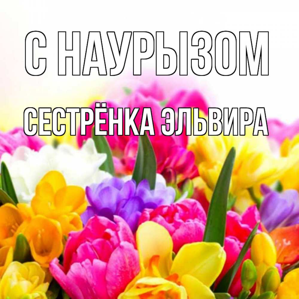 Открытка на каждый день с именем, Сестрёнка-Эльвира С наурызом тюльпаны Прикольная открытка с пожеланием онлайн скачать бесплатно 