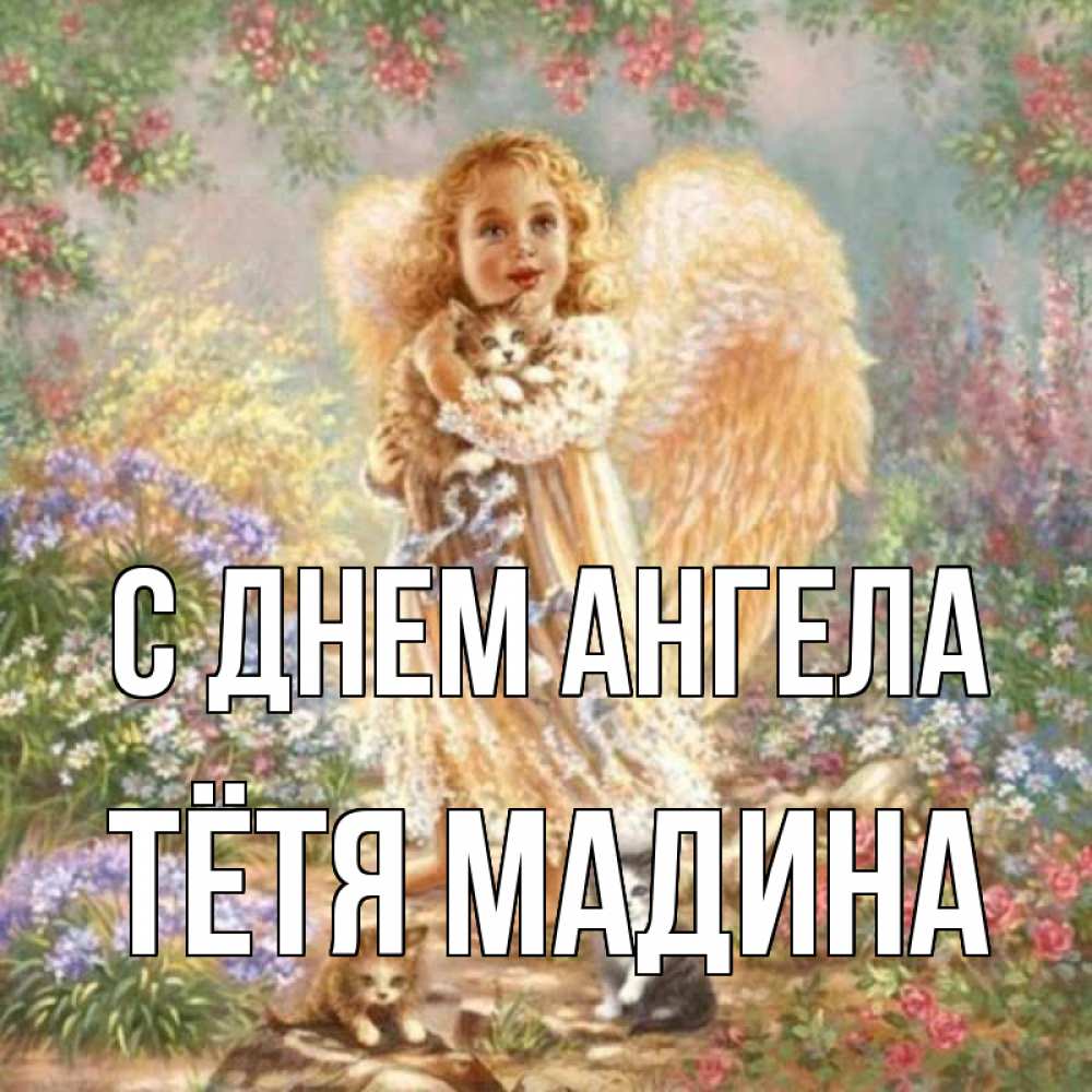 Открытка на каждый день с именем, Тётя-Мадина С днем ангела держит котенка Прикольная открытка с пожеланием онлайн скачать бесплатно 