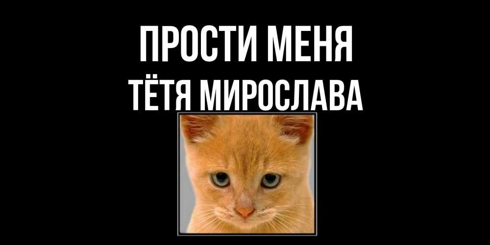 Открытка на каждый день с именем, Тётя-Мирослава Прости меня рыжий грустный кот просит прощения Прикольная открытка с пожеланием онлайн скачать бесплатно 