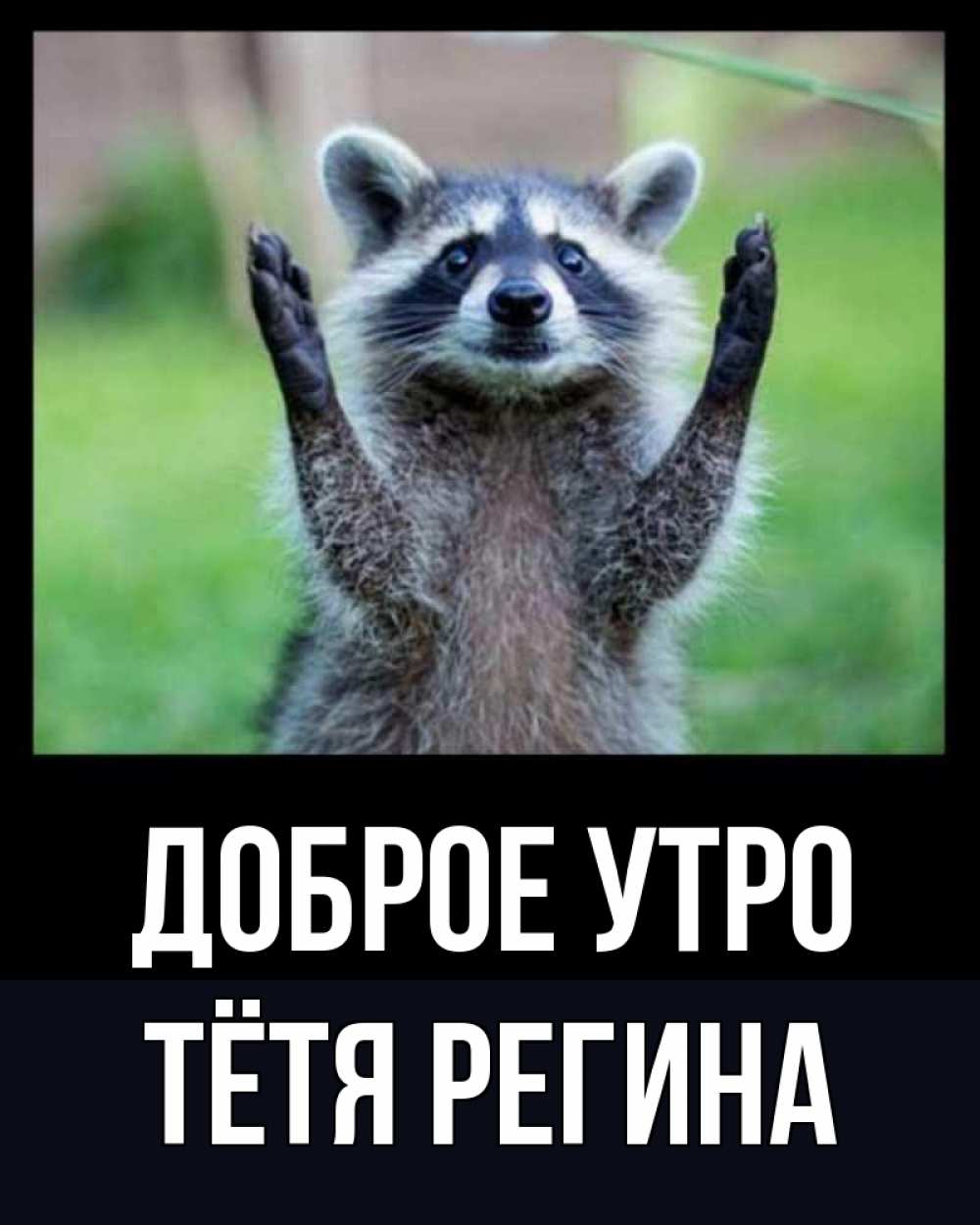 Открытка на каждый день с именем, Тётя-Регина Доброе утро хорошее настроение утречком Прикольная открытка с пожеланием онлайн скачать бесплатно 