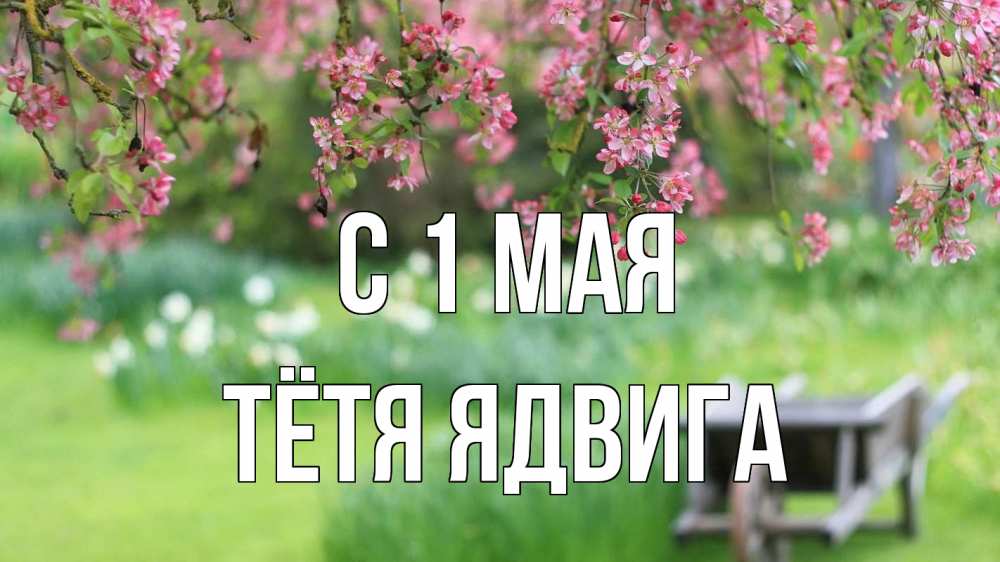 Открытка на каждый день с именем, Тётя-Ядвига С 1 мая С 1 мая Прикольная открытка с пожеланием онлайн скачать бесплатно 