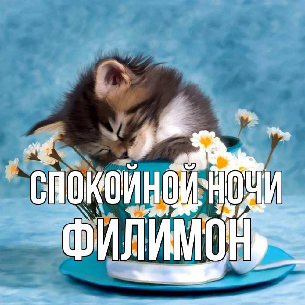 Открытка на каждый день с именем, Филимон Спокойной ночи котенок спит в кружке с блюдцем Прикольная открытка с пожеланием онлайн скачать бесплатно 