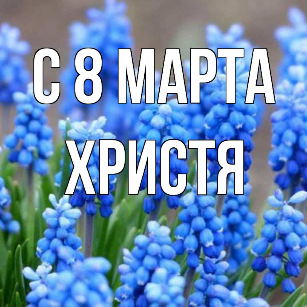 Открытка на каждый день с именем, Христя С 8 МАРТА Поздравительная открытка для женщин с цветами на праздничную дату Прикольная открытка с пожеланием онлайн скачать бесплатно 