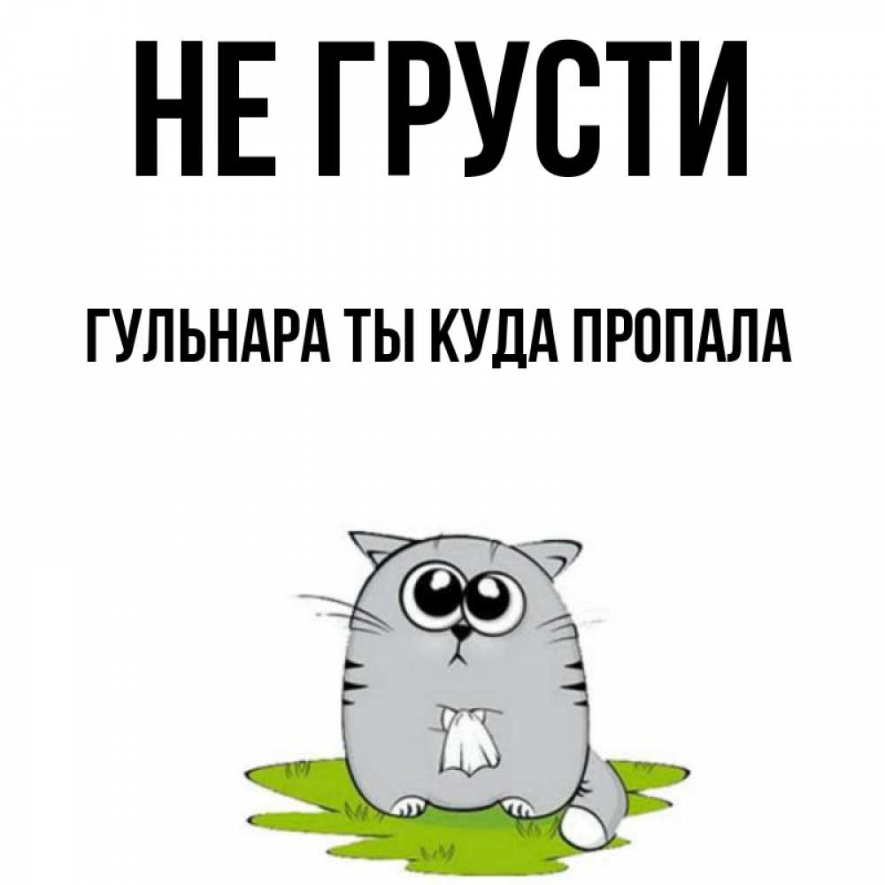 Кормы куда пропали