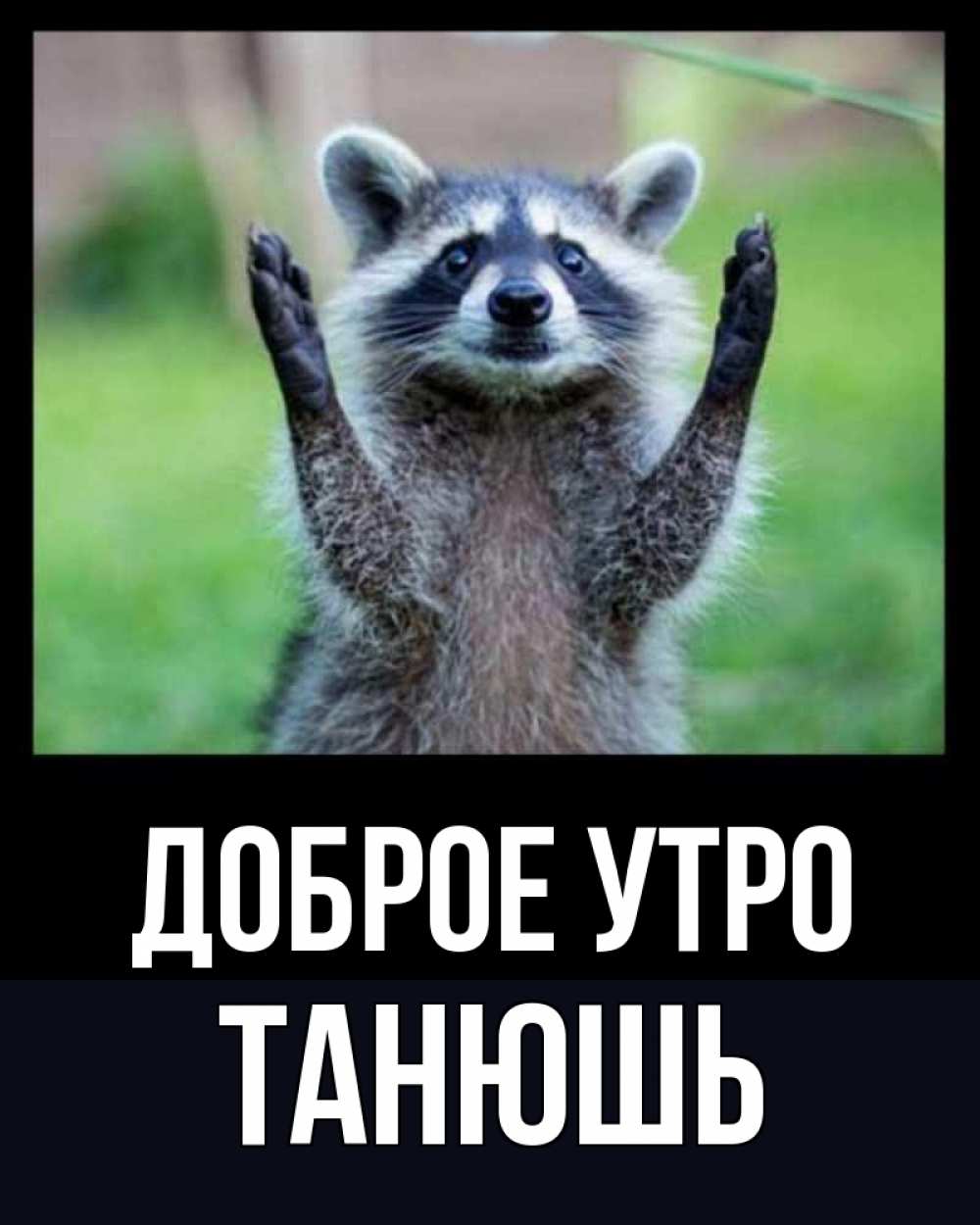 Доброе утро танечка картинки прикольные