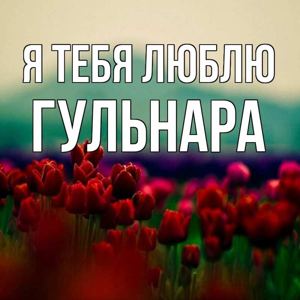 Открытка на каждый день с именем, Гульнара Я тебя люблю тюльпаны 4 Прикольная открытка с пожеланием онлайн скачать бесплатно 
