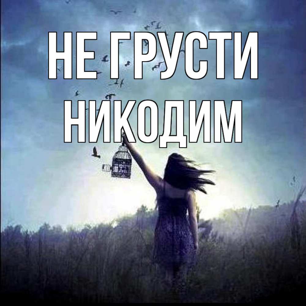 Открытка на каждый день с именем, Никодим Не грусти на волю Прикольная открытка с пожеланием онлайн скачать бесплатно 