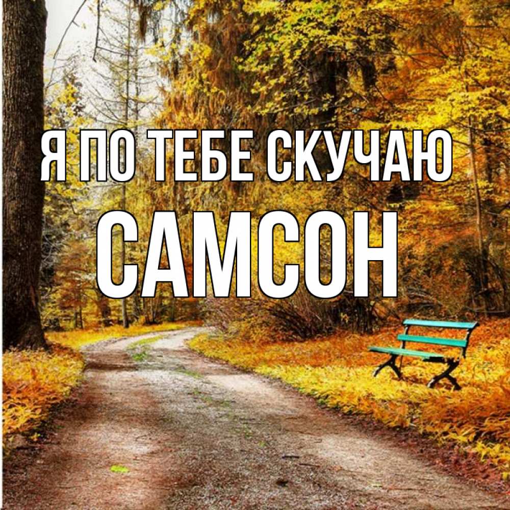 Открытка на каждый день с именем, Самсон Я по тебе скучаю зеленая лавочка и осенний лес Прикольная открытка с пожеланием онлайн скачать бесплатно 