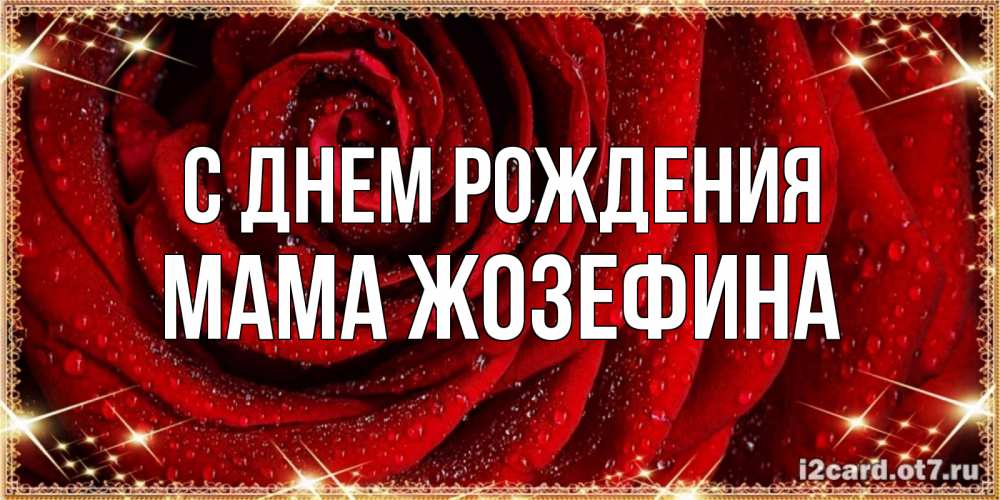 Открытка на каждый день с именем, Мама-Жозефина С днем рождения роса на розе блестящая в лучах солнца Прикольная открытка с пожеланием онлайн скачать бесплатно 