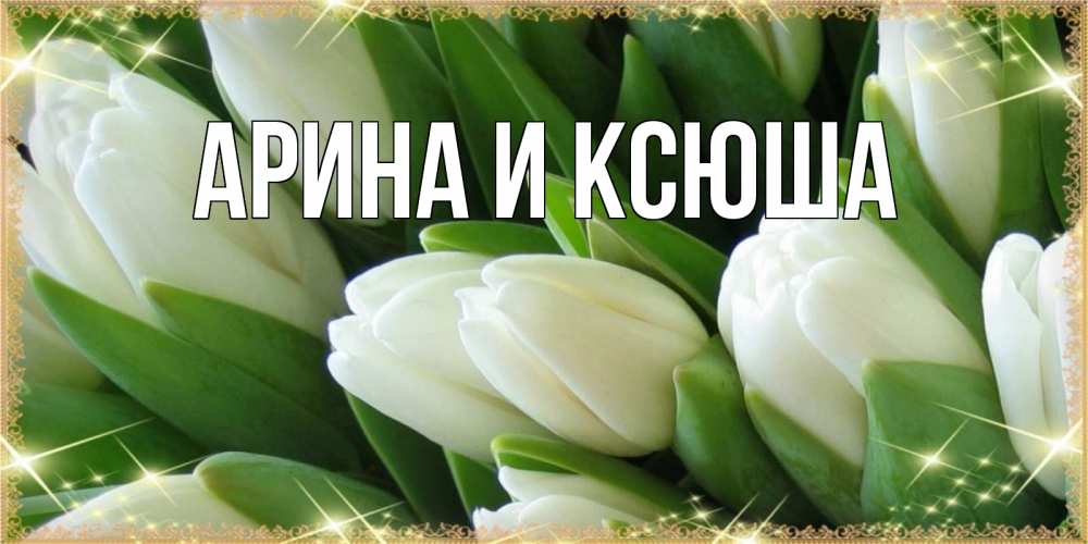 Открытка на каждый день с именем, Арина-и-Ксюша Главная поздравляем с наурызом Прикольная открытка с пожеланием онлайн скачать бесплатно 