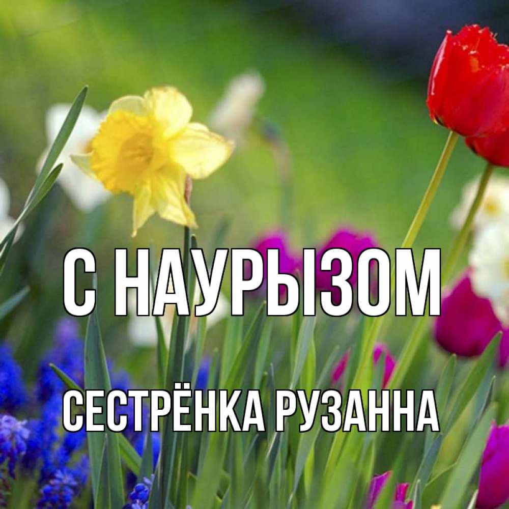 Открытка на каждый день с именем, Сестрёнка-Рузанна С наурызом праздник весны наурыз 3 Прикольная открытка с пожеланием онлайн скачать бесплатно 