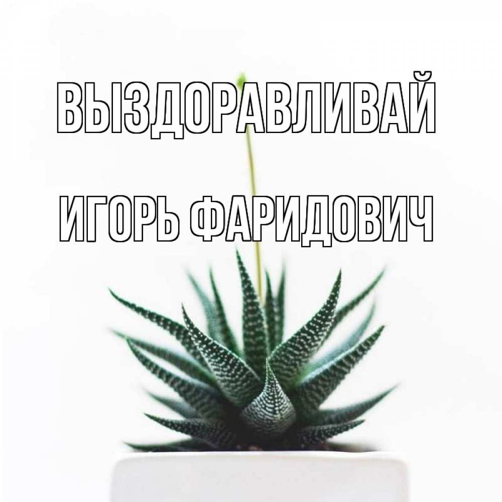 Открытка с именем, Игорь Фаридович, Выздоравливай