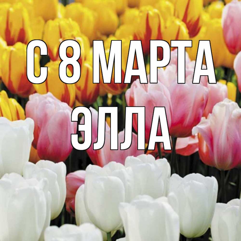 Открытка на каждый день с именем, Элла С 8 МАРТА разноцветные цветы Прикольная открытка с пожеланием онлайн скачать бесплатно 