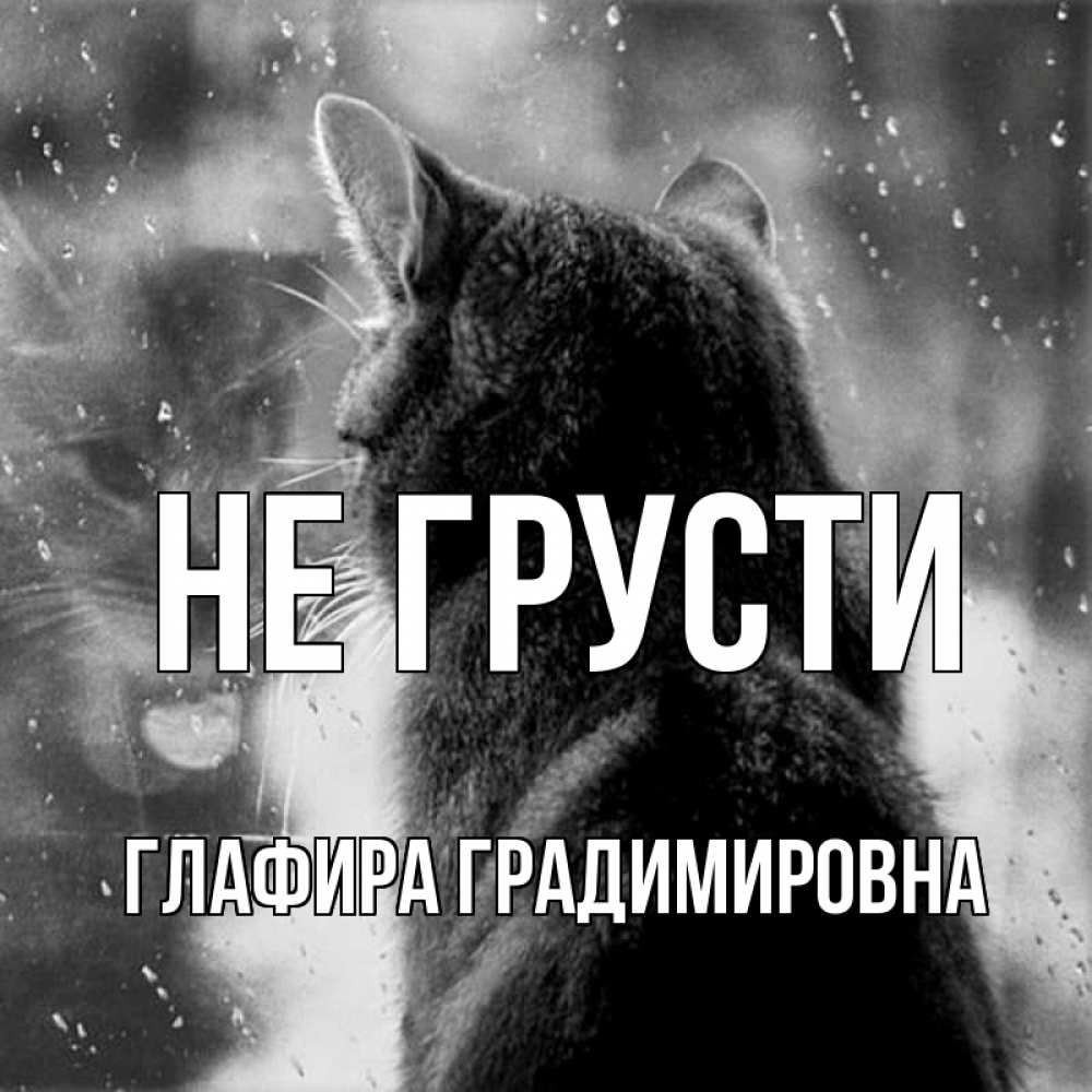 Картинка Не грусти, Глафира Градимировна