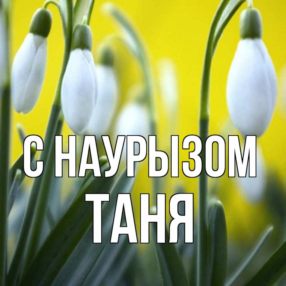 Открытка на каждый день с именем, Таня С наурызом весенние цветы Прикольная открытка с пожеланием онлайн скачать бесплатно 
