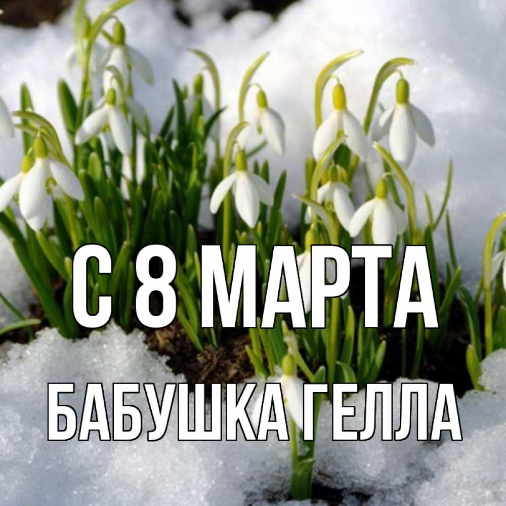 Открытка на каждый день с именем, Бабушка-Гелла С 8 МАРТА цветы весенние Прикольная открытка с пожеланием онлайн скачать бесплатно 