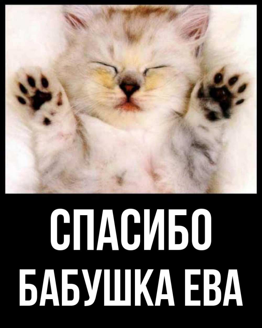 Открытка на каждый день с именем, Бабушка-Ева Спасибо маленький котенок Прикольная открытка с пожеланием онлайн скачать бесплатно 