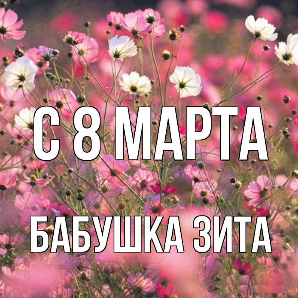 Открытка на каждый день с именем, Бабушка-Зита С 8 МАРТА красиво 1 Прикольная открытка с пожеланием онлайн скачать бесплатно 