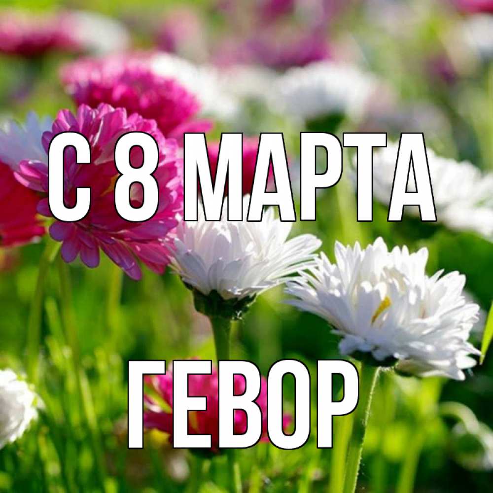 Открытка на каждый день с именем, Гевор С 8 МАРТА международный женский день 1 Прикольная открытка с пожеланием онлайн скачать бесплатно 