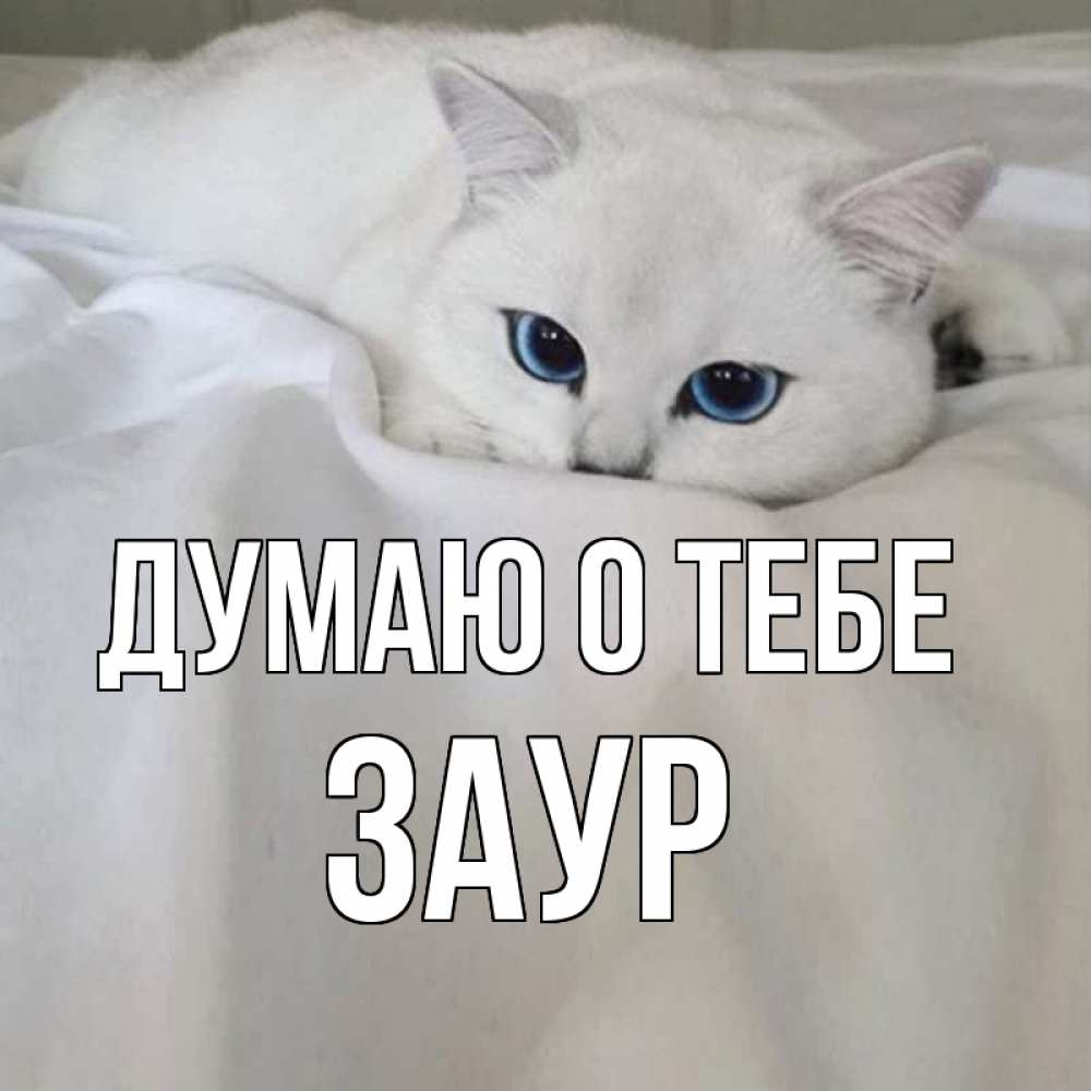 Открытка на каждый день с именем, Заур Думаю о тебе я очень по тебе скучаю и тоскую Прикольная открытка с пожеланием онлайн скачать бесплатно 