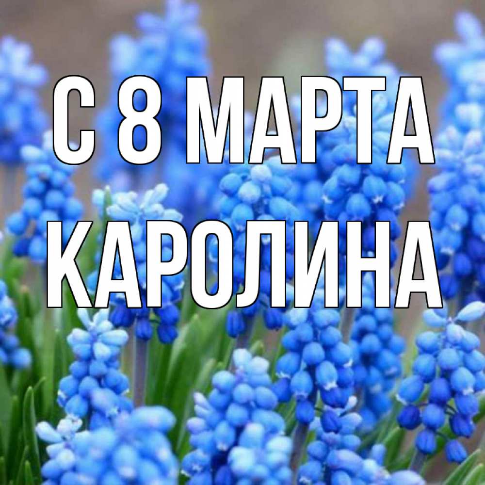 Открытка на каждый день с именем, Каролина С 8 МАРТА Поздравительная открытка для женщин с цветами на праздничную дату Прикольная открытка с пожеланием онлайн скачать бесплатно 