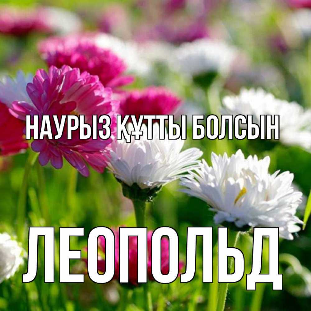 Открытка на каждый день с именем, Леопольд Наурыз құтты болсын наурыз Прикольная открытка с пожеланием онлайн скачать бесплатно 