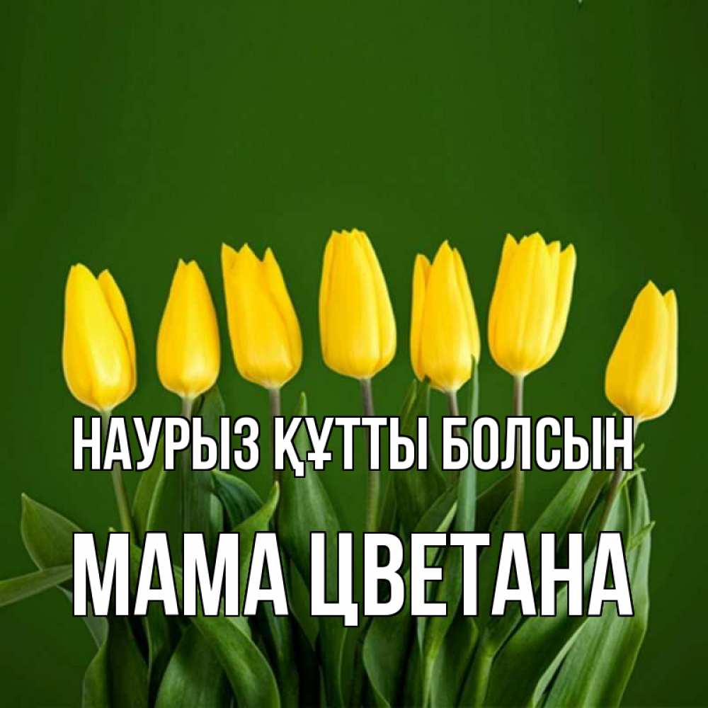Открытка на каждый день с именем, Мама-Цветана Наурыз құтты болсын желтого цвета 3 Прикольная открытка с пожеланием онлайн скачать бесплатно 