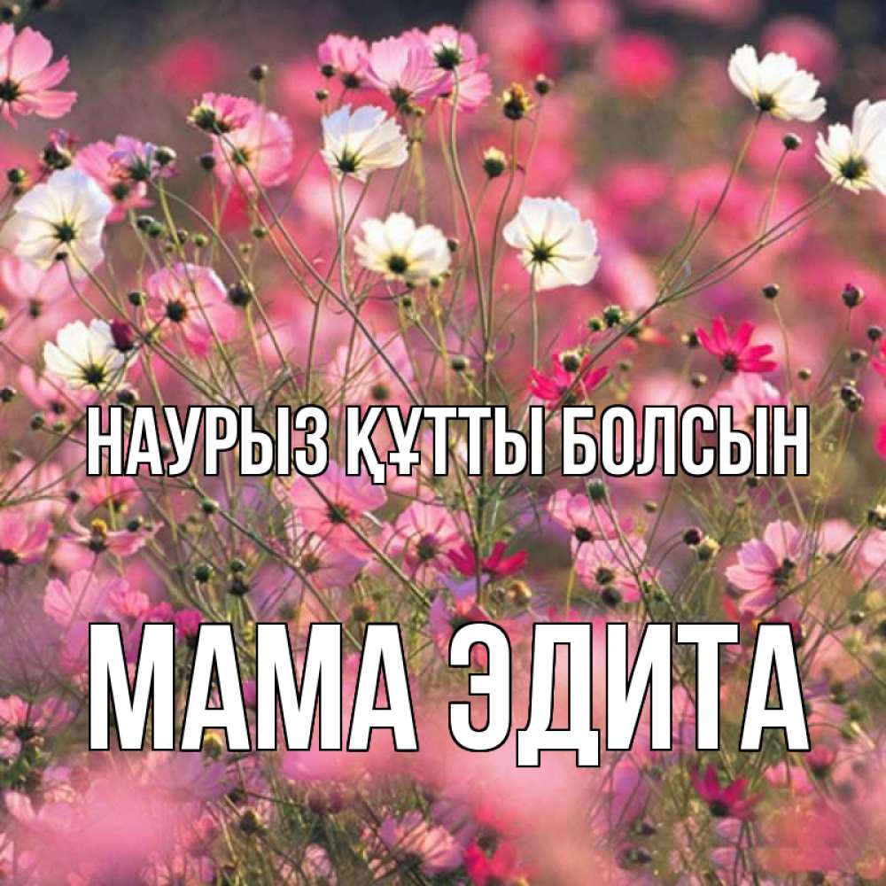 Открытка на каждый день с именем, Мама-Эдита Наурыз құтты болсын красиво 1 Прикольная открытка с пожеланием онлайн скачать бесплатно 