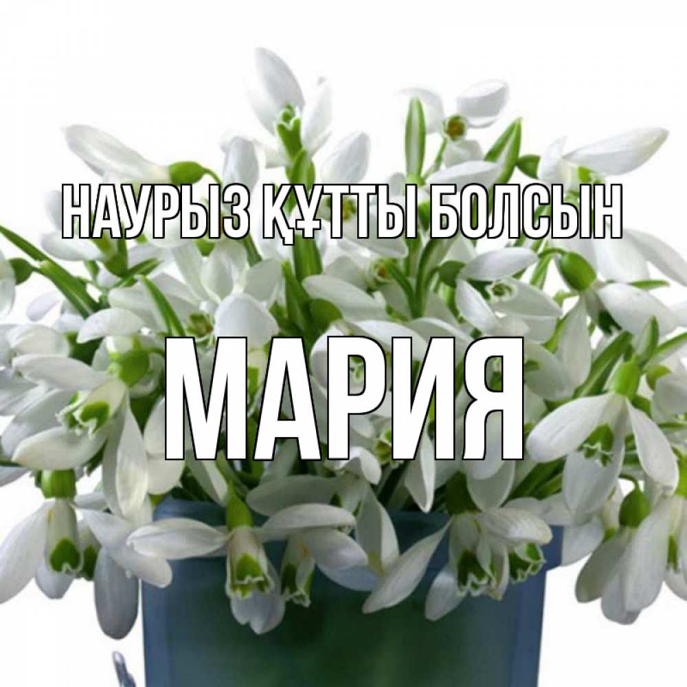 Открытка на каждый день с именем, Мария Наурыз құтты болсын цветы к наурызу Прикольная открытка с пожеланием онлайн скачать бесплатно 