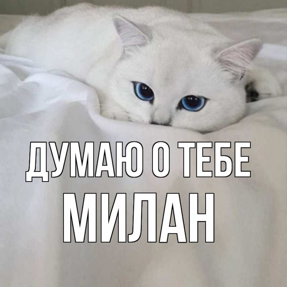 Открытка на каждый день с именем, Милан Думаю о тебе я очень по тебе скучаю и тоскую Прикольная открытка с пожеланием онлайн скачать бесплатно 