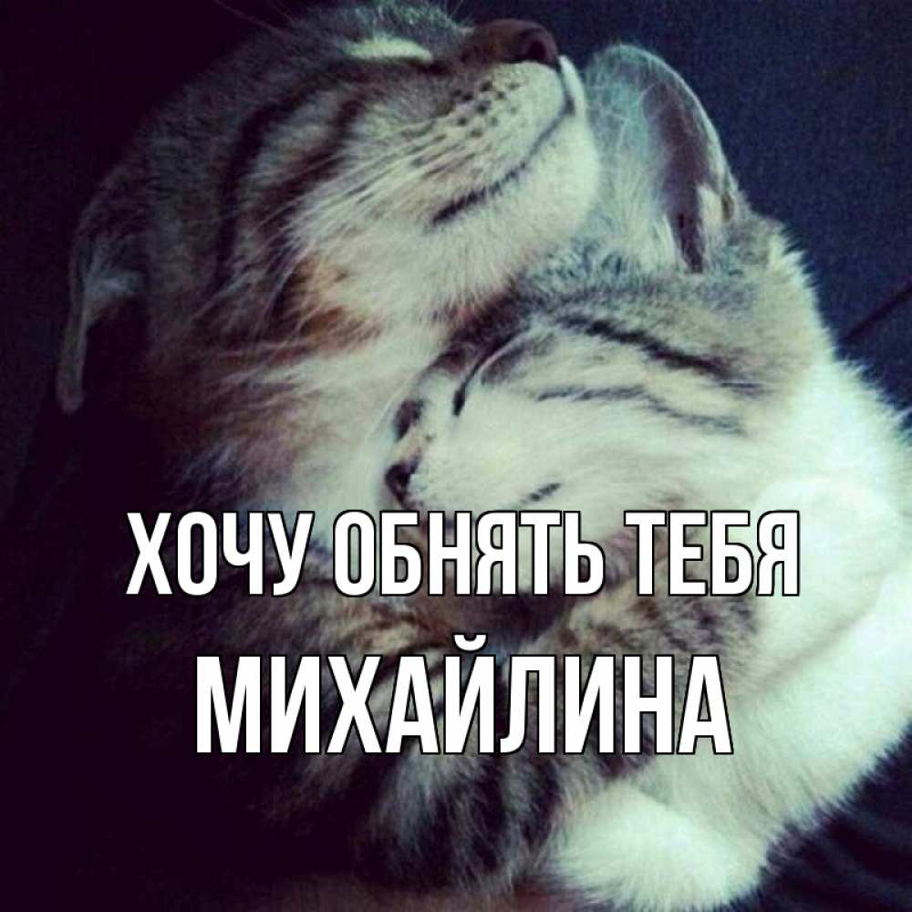 Открытка на каждый день с именем, Михайлина Хочу обнять тебя полосатики Прикольная открытка с пожеланием онлайн скачать бесплатно 