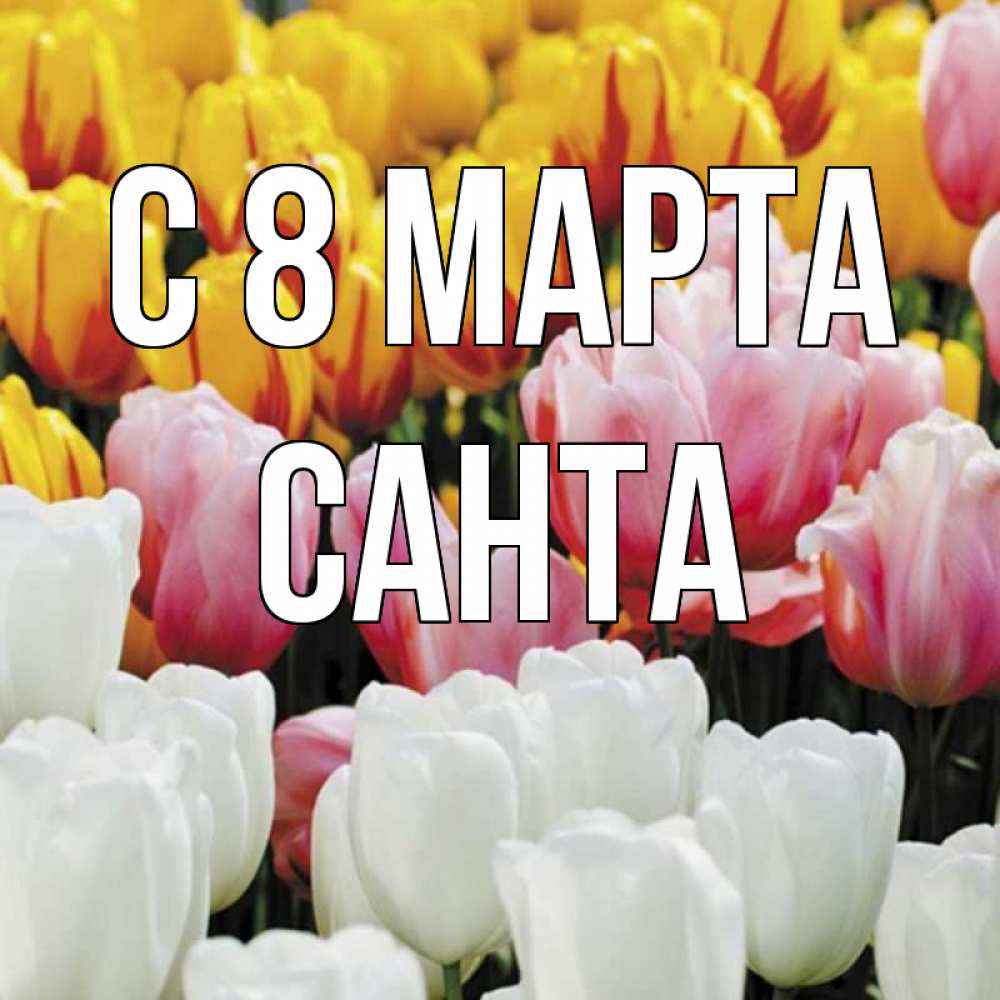 Открытка на каждый день с именем, Санта С 8 марта разноцветные цветы Прикольная открытка с пожеланием онлайн скачать бесплатно 