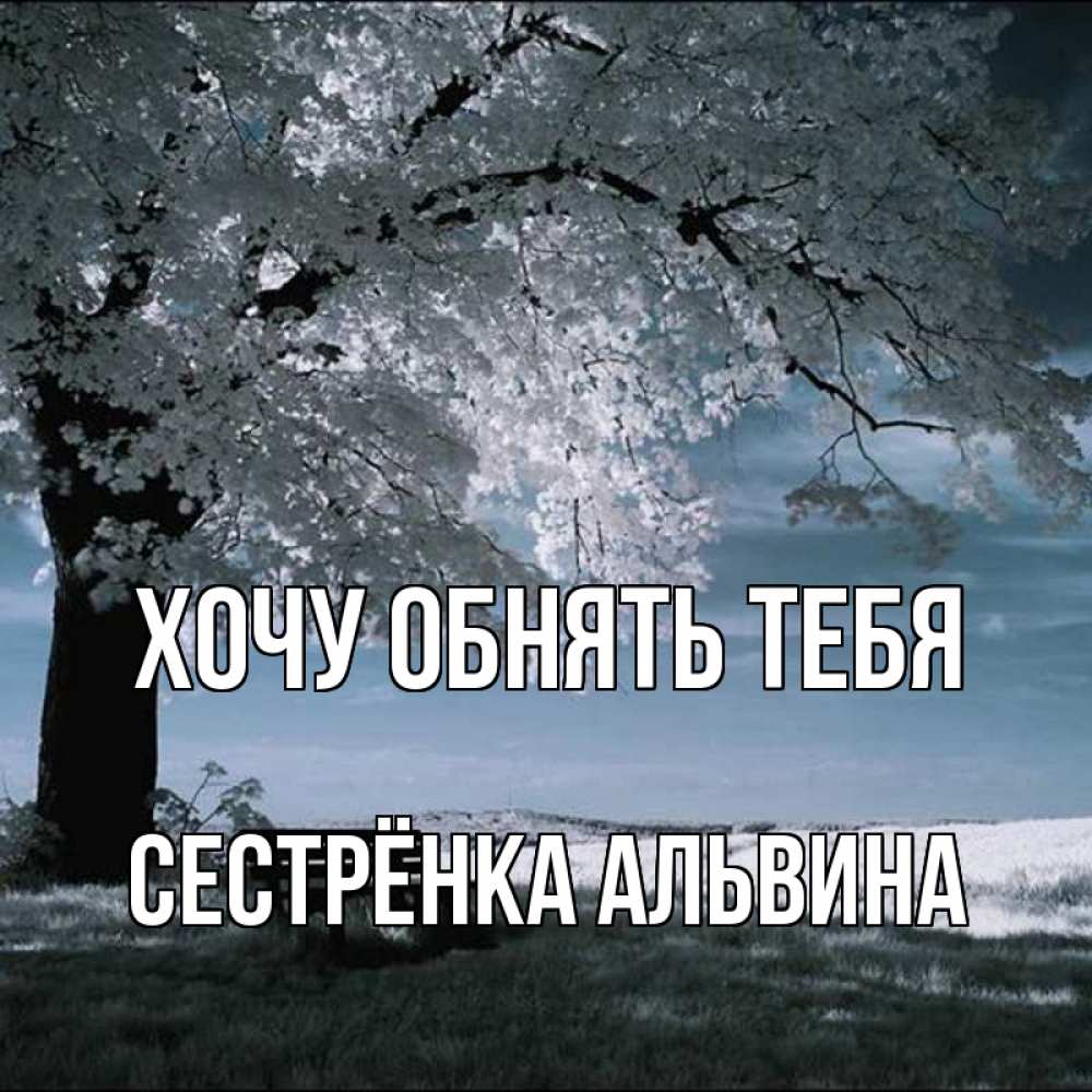 Открытка на каждый день с именем, Сестрёнка-Альвина Хочу обнять тебя дерево Прикольная открытка с пожеланием онлайн скачать бесплатно 