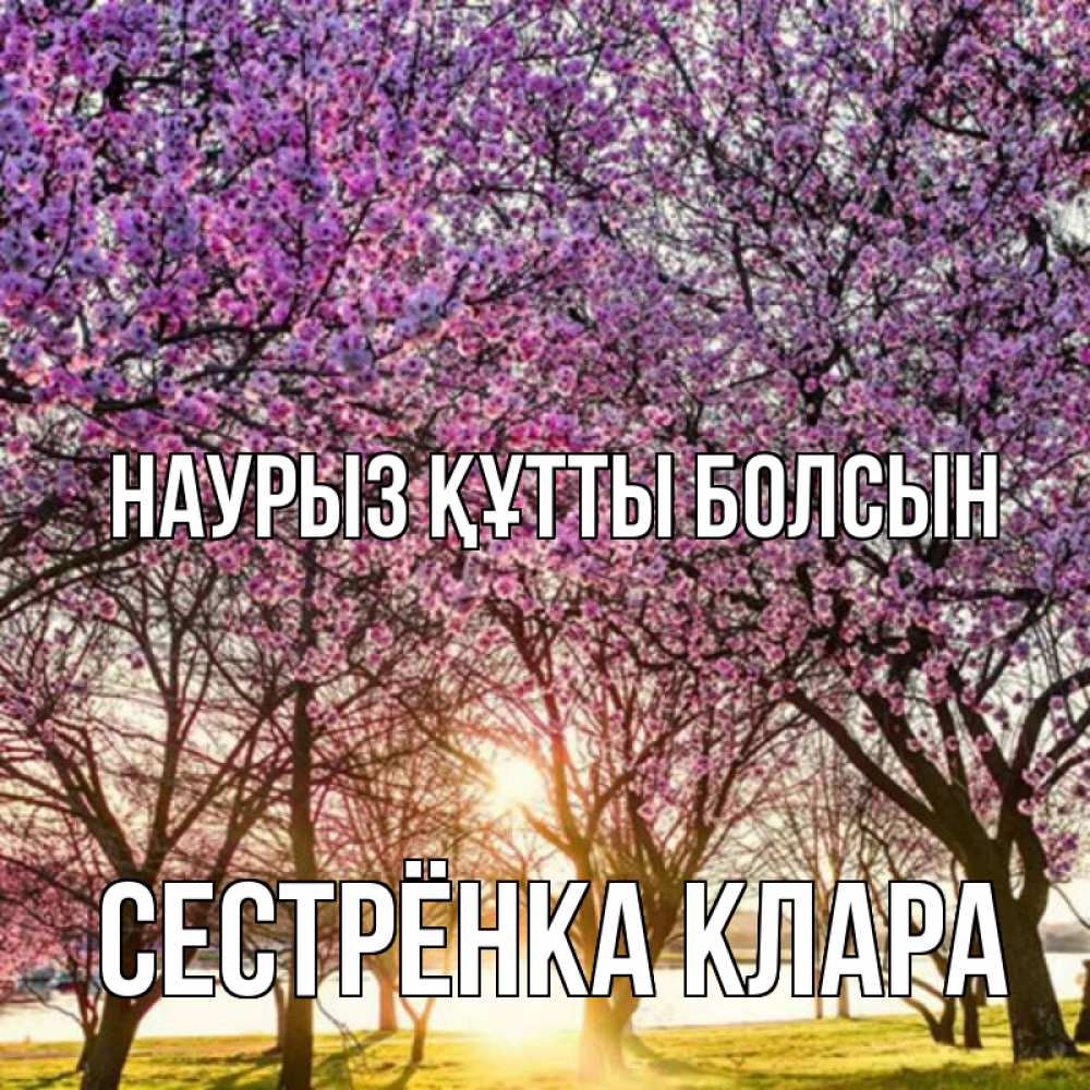 Открытка на каждый день с именем, Сестрёнка-Клара Наурыз құтты болсын наурыз Прикольная открытка с пожеланием онлайн скачать бесплатно 