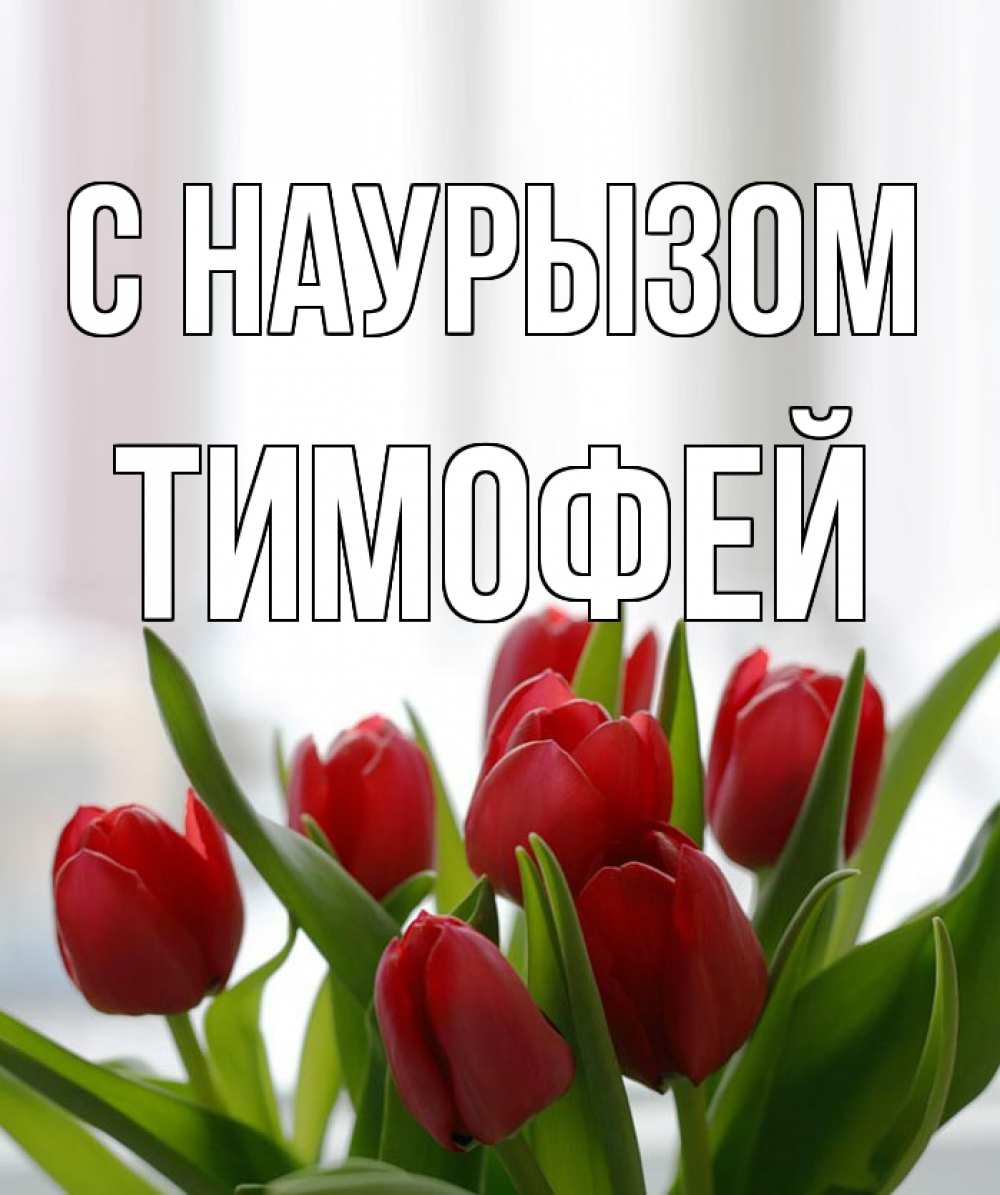 Открытка на каждый день с именем, Тимофей С наурызом полевые цветы Прикольная открытка с пожеланием онлайн скачать бесплатно 