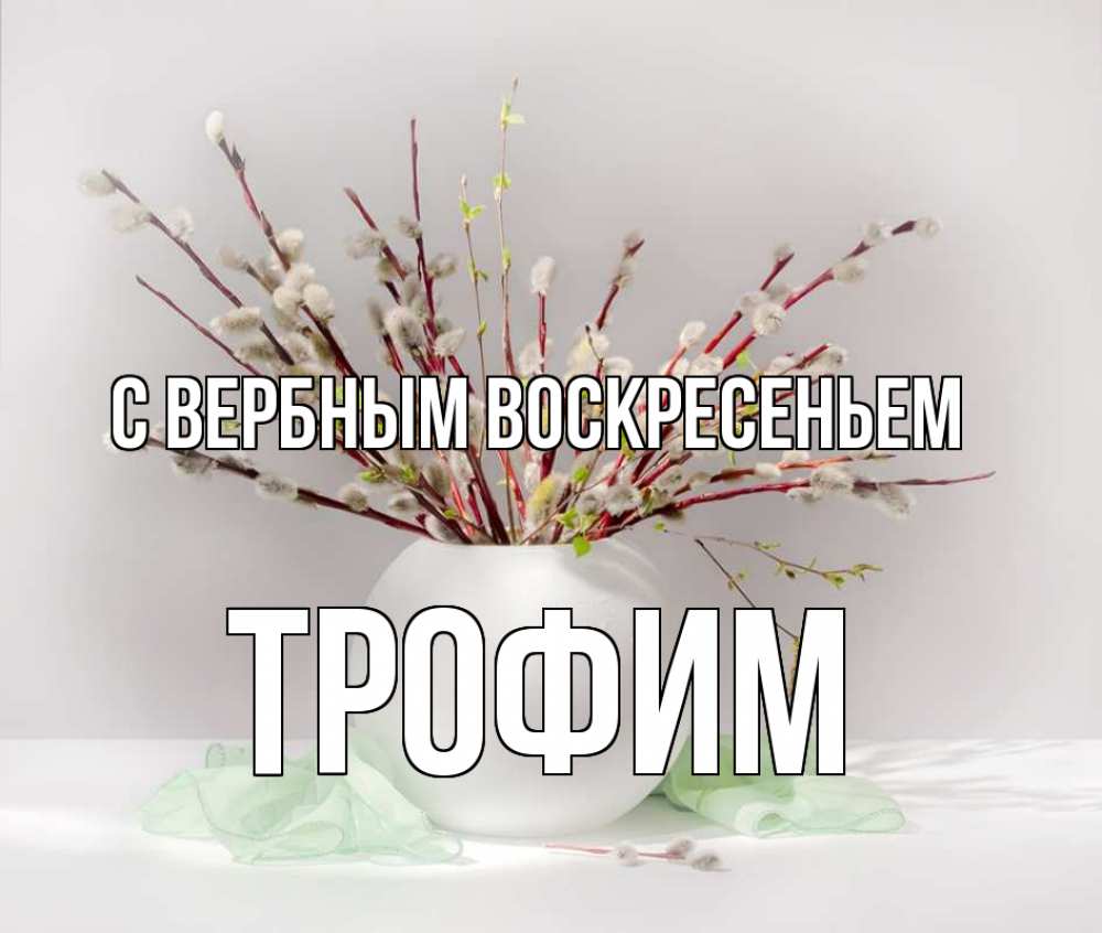 Открытка на каждый день с именем, Трофим С вербным воскресеньем верба Прикольная открытка с пожеланием онлайн скачать бесплатно 
