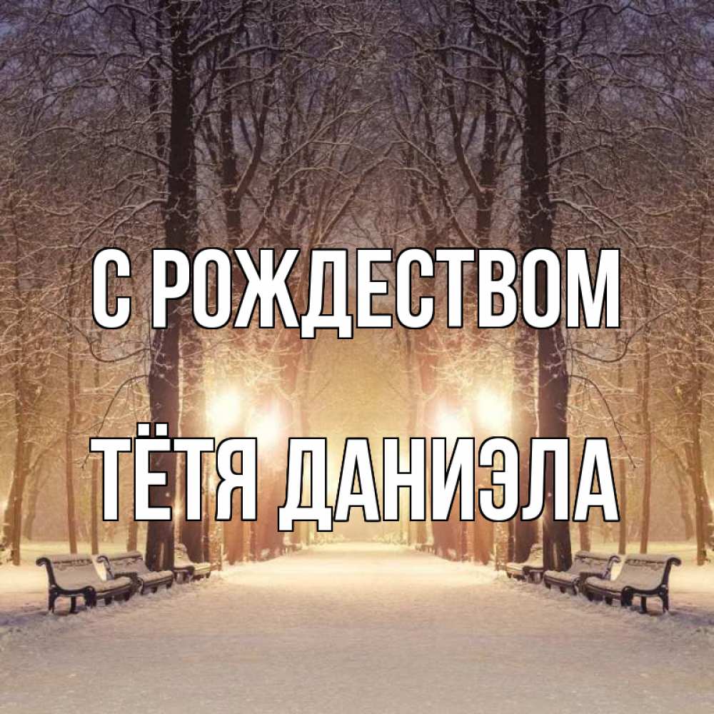 Открытка на каждый день с именем, Тётя-Даниэла С рождеством зима, парк, фонарь, лес Прикольная открытка с пожеланием онлайн скачать бесплатно 