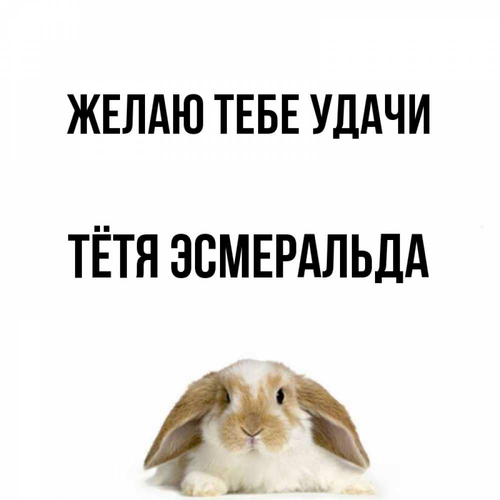 Открытка на каждый день с именем, Тётя-Эсмеральда Желаю тебе удачи открытки с произвольным текстом который можно вставить в открытку и создать ее самостоятельно бесплатно онлайн Прикольная открытка с пожеланием онлайн скачать бесплатно 