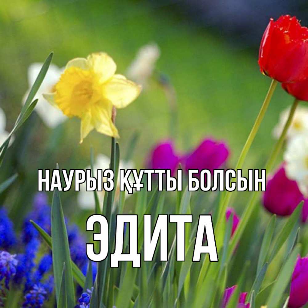 Открытка на каждый день с именем, Эдита Наурыз құтты болсын наурыз  3 открытки Прикольная открытка с пожеланием онлайн скачать бесплатно 