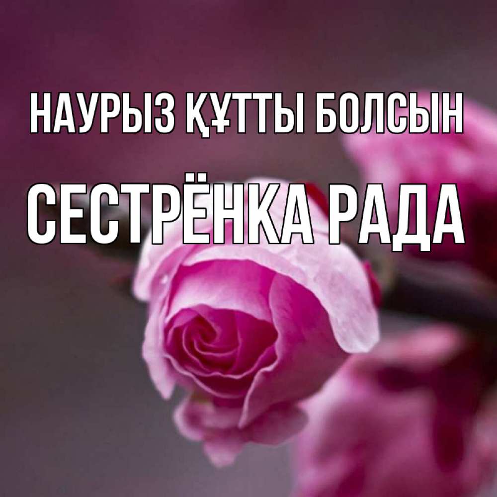 Открытка на каждый день с именем, Сестрёнка-Рада Наурыз құтты болсын весна Прикольная открытка с пожеланием онлайн скачать бесплатно 