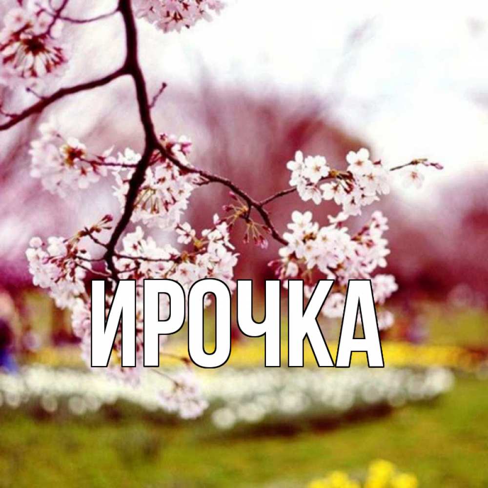 Картинка  с именем , ирочка