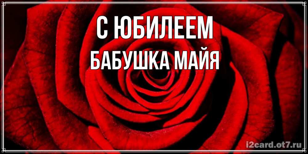 Открытка на каждый день с именем, Бабушка-Майя С юбилеем алая роза Прикольная открытка с пожеланием онлайн скачать бесплатно 