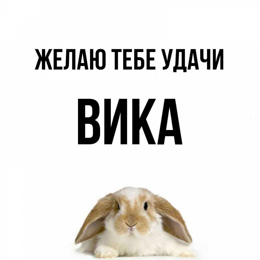 Открытка на каждый день с именем, Вика Желаю тебе удачи открытки с произвольным текстом который можно вставить в открытку и создать ее самостоятельно бесплатно онлайн Прикольная открытка с пожеланием онлайн скачать бесплатно 