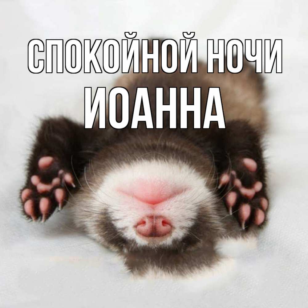 Открытка на каждый день с именем, Иоанна Спокойной ночи зверек Прикольная открытка с пожеланием онлайн скачать бесплатно 