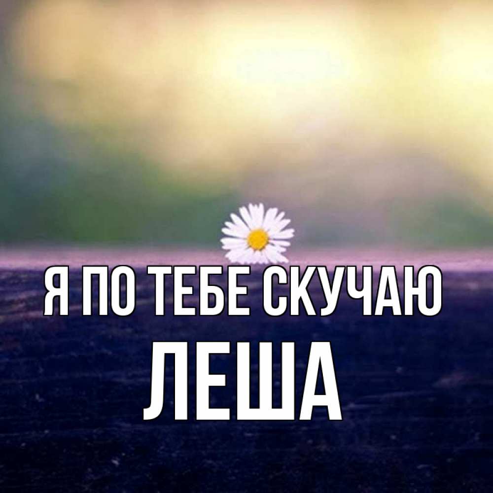 Картинки скучаю леша