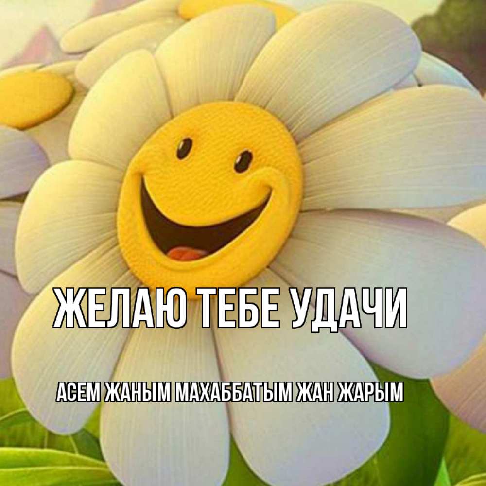 Открытки жаным, надписью